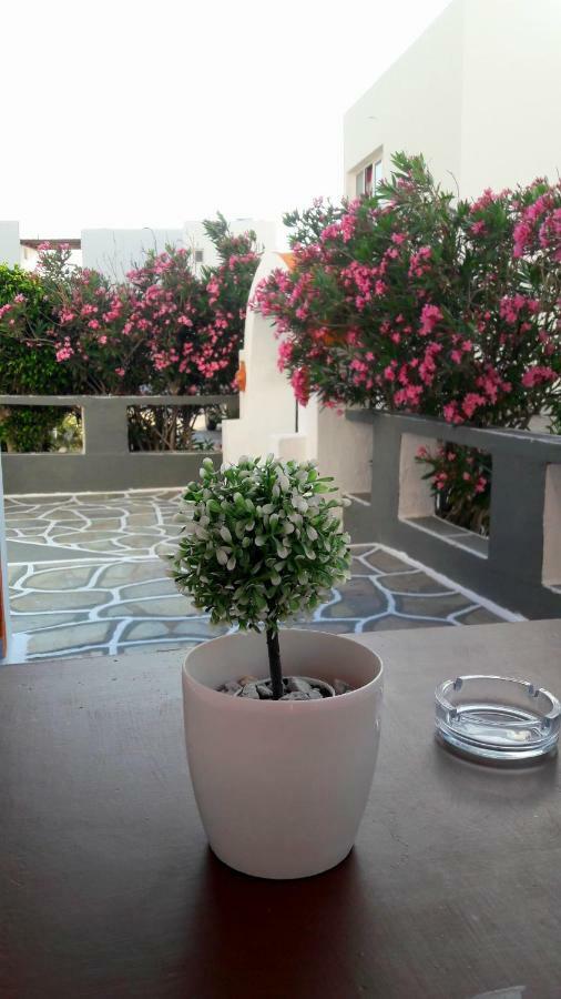 George'S Place อิออสคอรา ภายนอก รูปภาพ